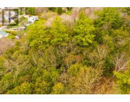 Lt38-39 Silver Lake Road, Kawartha Lakes, ON K0M1K0 Photo 9