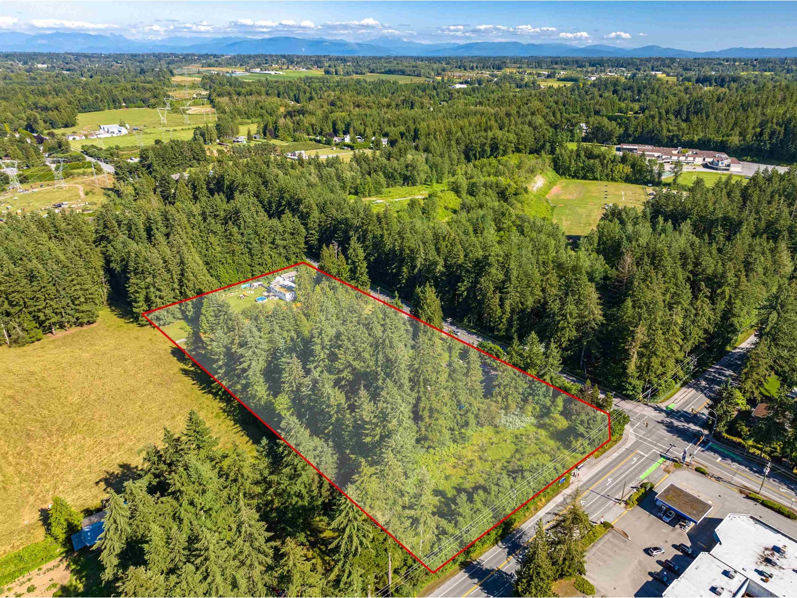 20877 40 AVENUE, Langley real estate listing R2902287