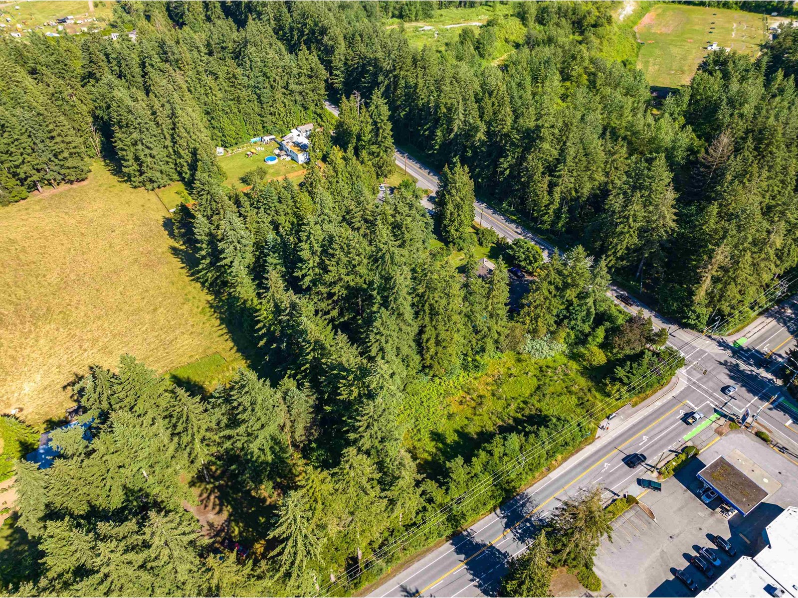 20877 40 AVENUE, Langley real estate listing R2902287