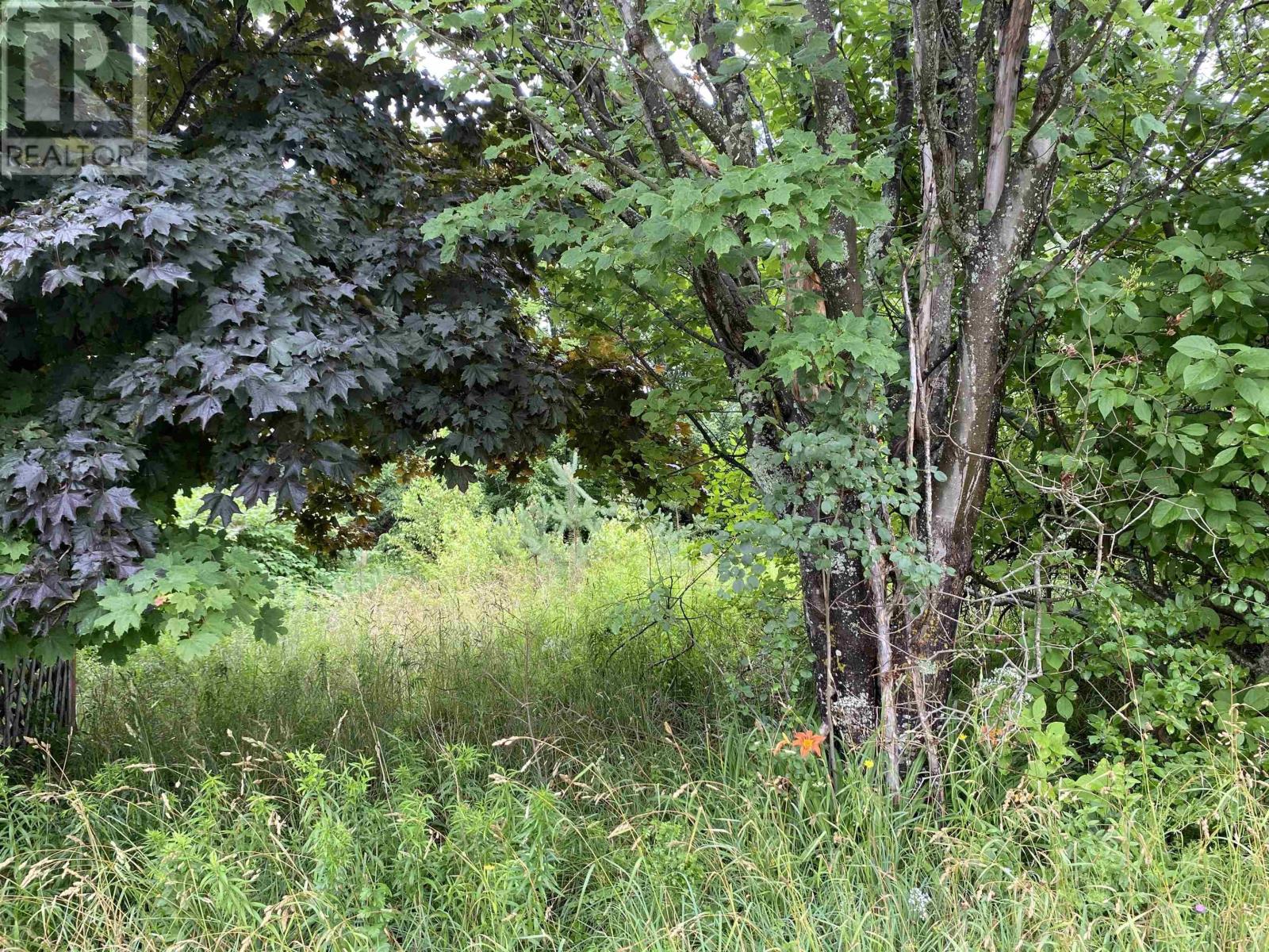 Vacant Land For Sale | Lot Wellington Street | Pictou | B0K1H0