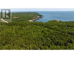 Lot 86-130 Fundy Drive, Campobello Island, NB E5E1C1 Photo 6