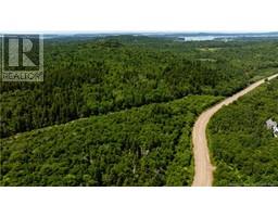 Lot 86-130 Fundy Drive, Campobello Island, NB E5E1C1 Photo 8