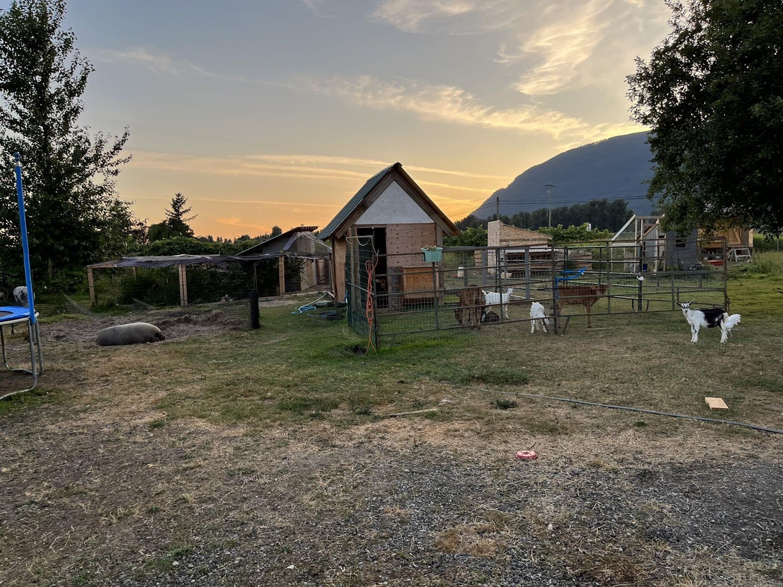 39582 LOUGHEED HIGHWAY, Mission
