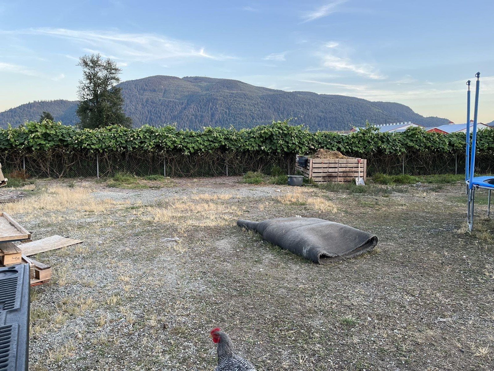 39582 LOUGHEED HIGHWAY, Mission
