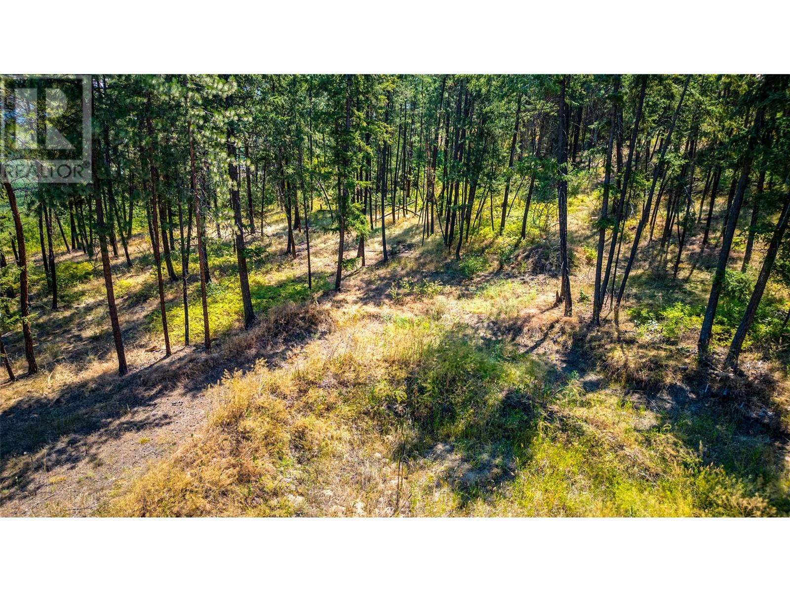 10080 Chase Road, Lake Country