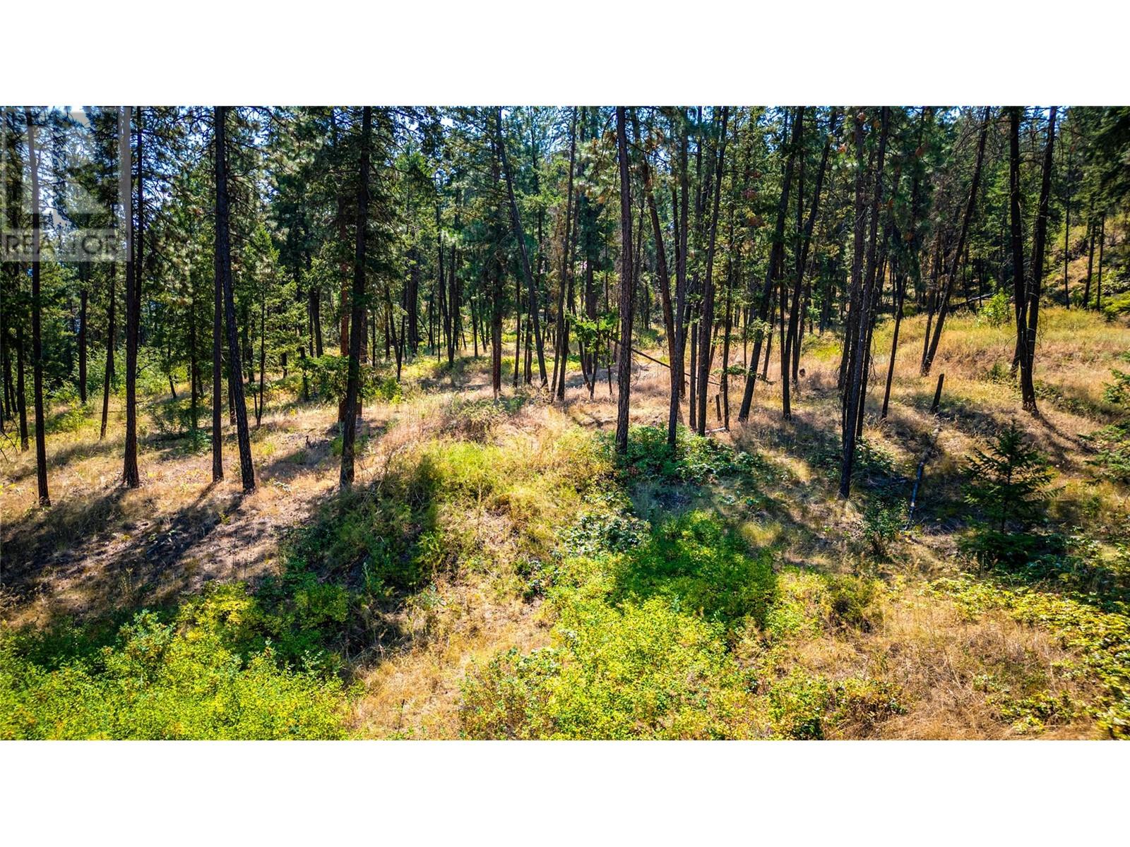 10080 Chase Road, Lake Country