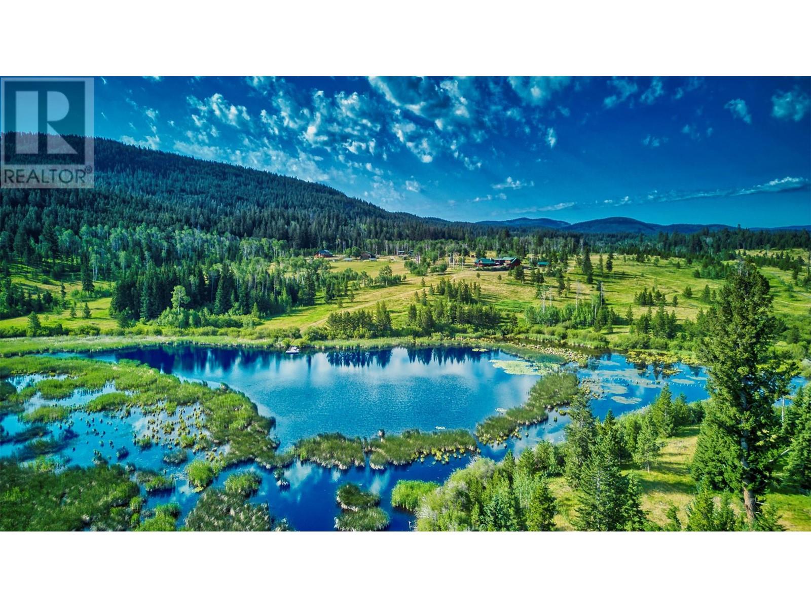 1000 HALFWAY LAKE ROAD - 58