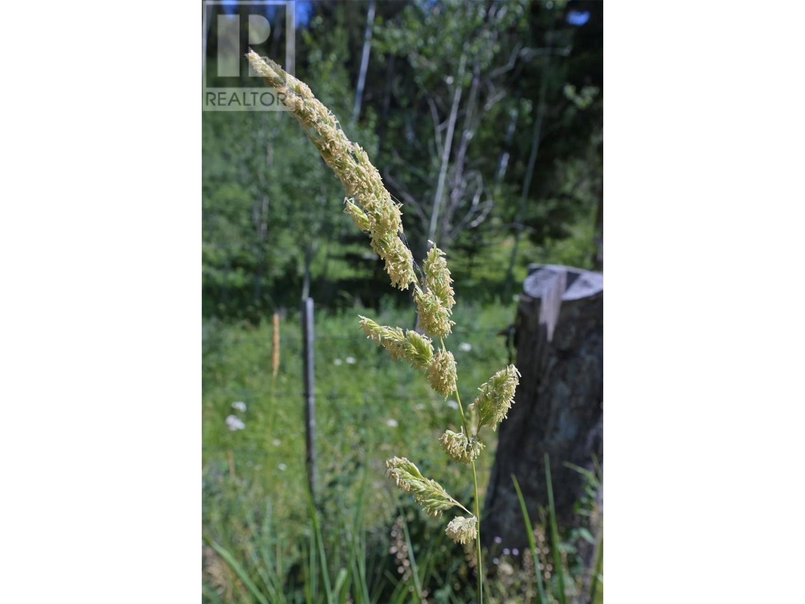 1000 HALFWAY LAKE ROAD - 45