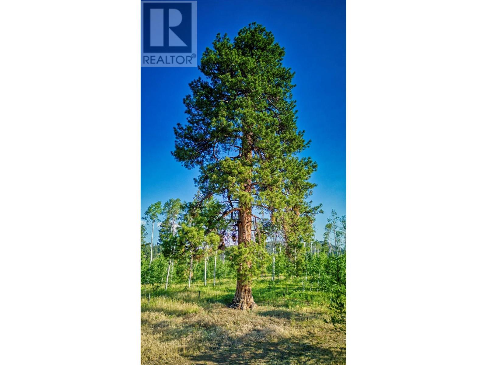 1000 HALFWAY LAKE ROAD - 30