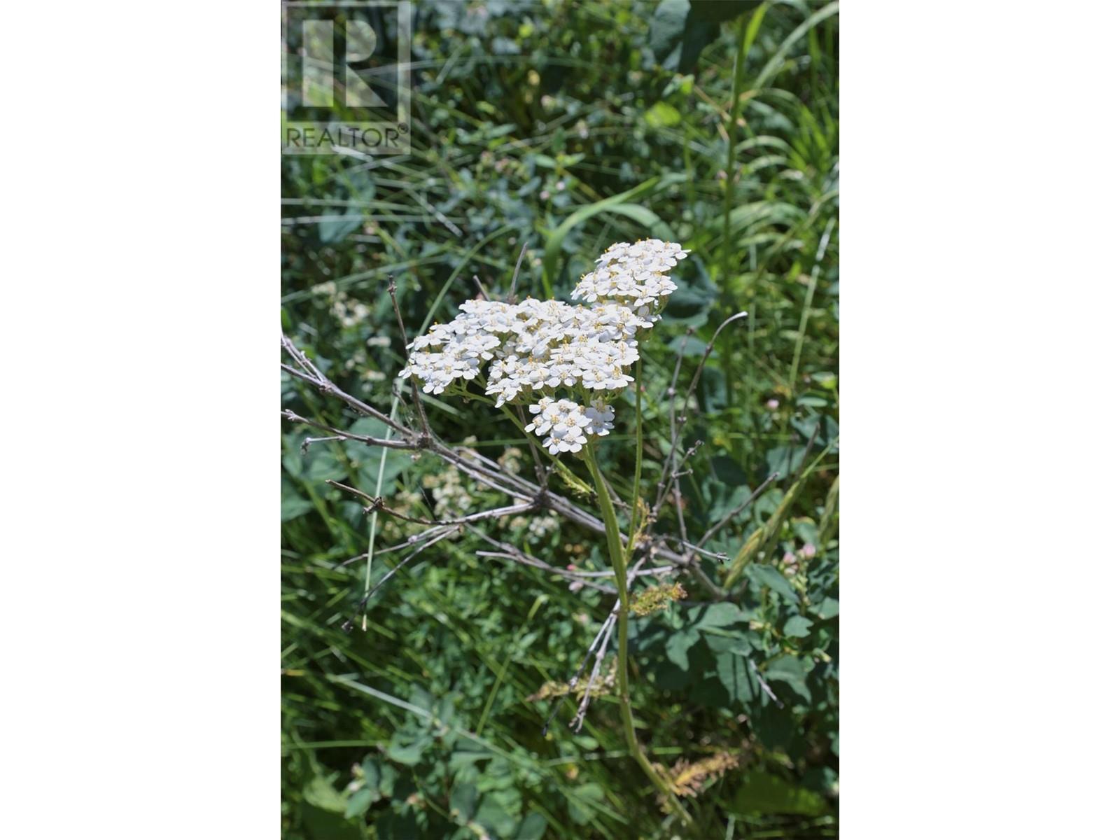 1000 HALFWAY LAKE ROAD - 46