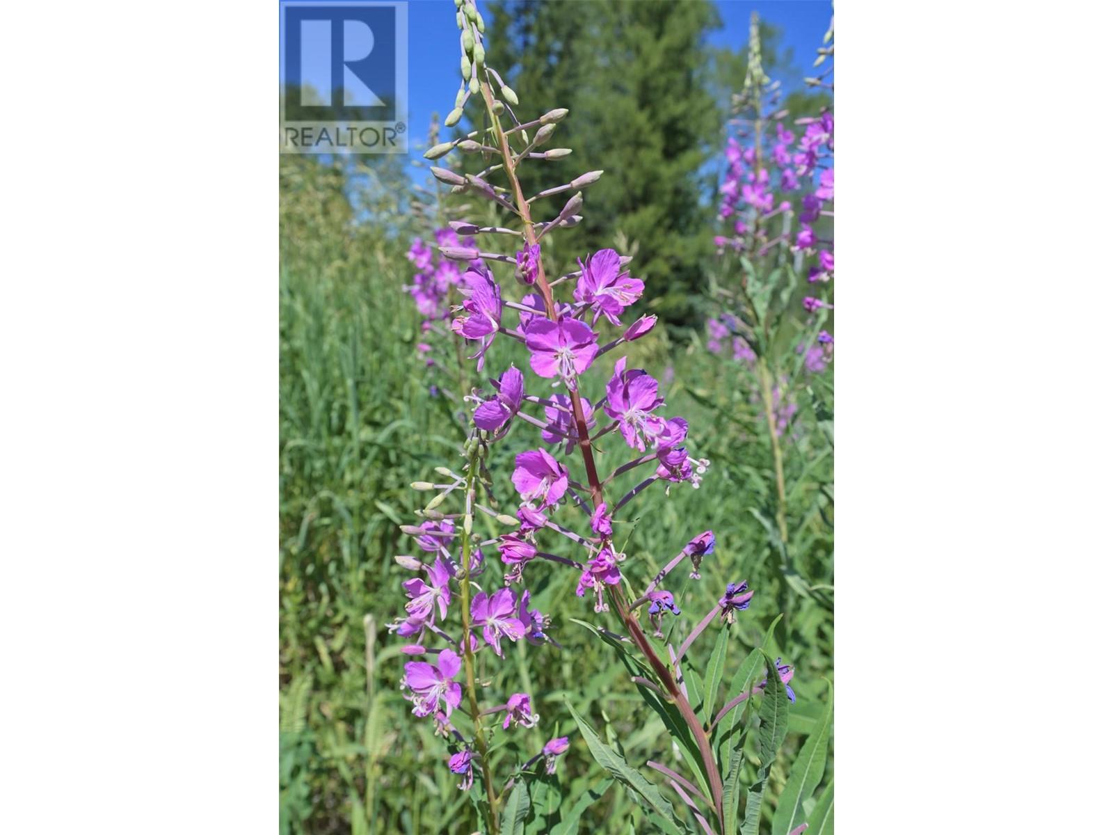 1000 HALFWAY LAKE ROAD - 44