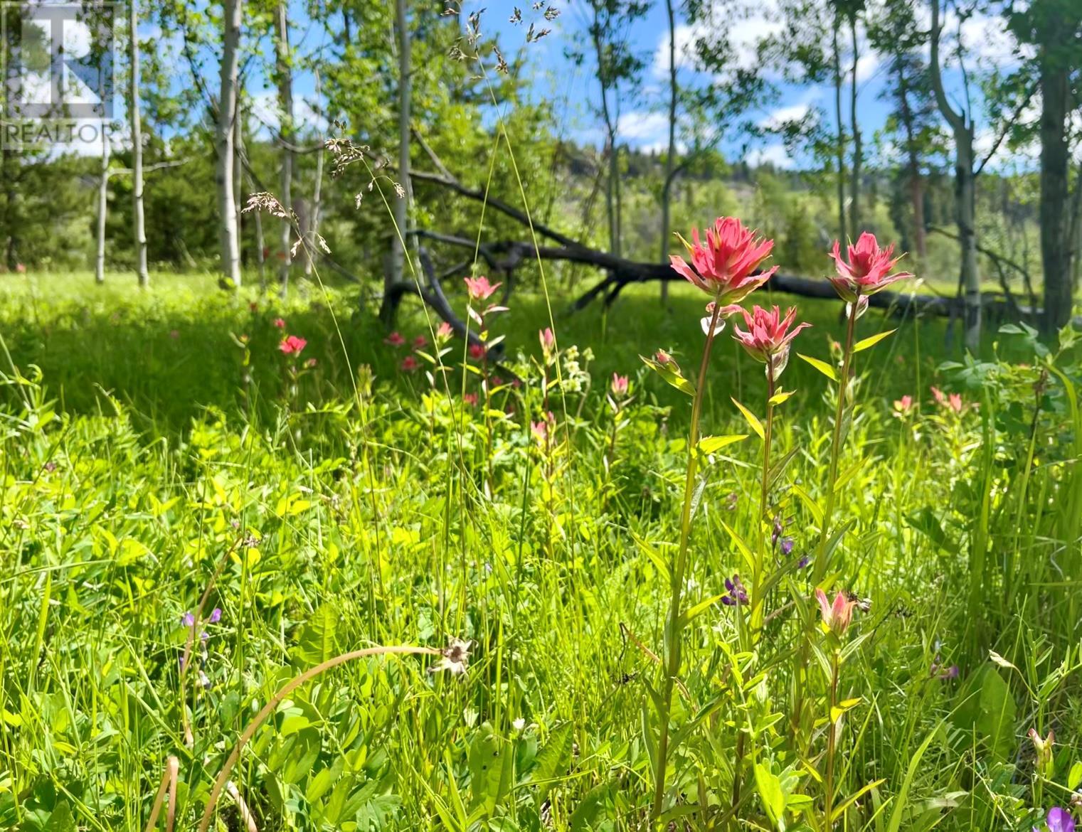 1000 HALFWAY LAKE ROAD - 69