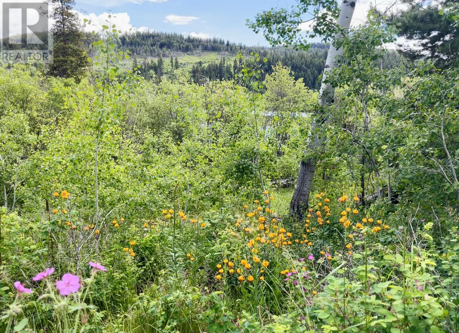 1000 Halfway Lake Road - 71