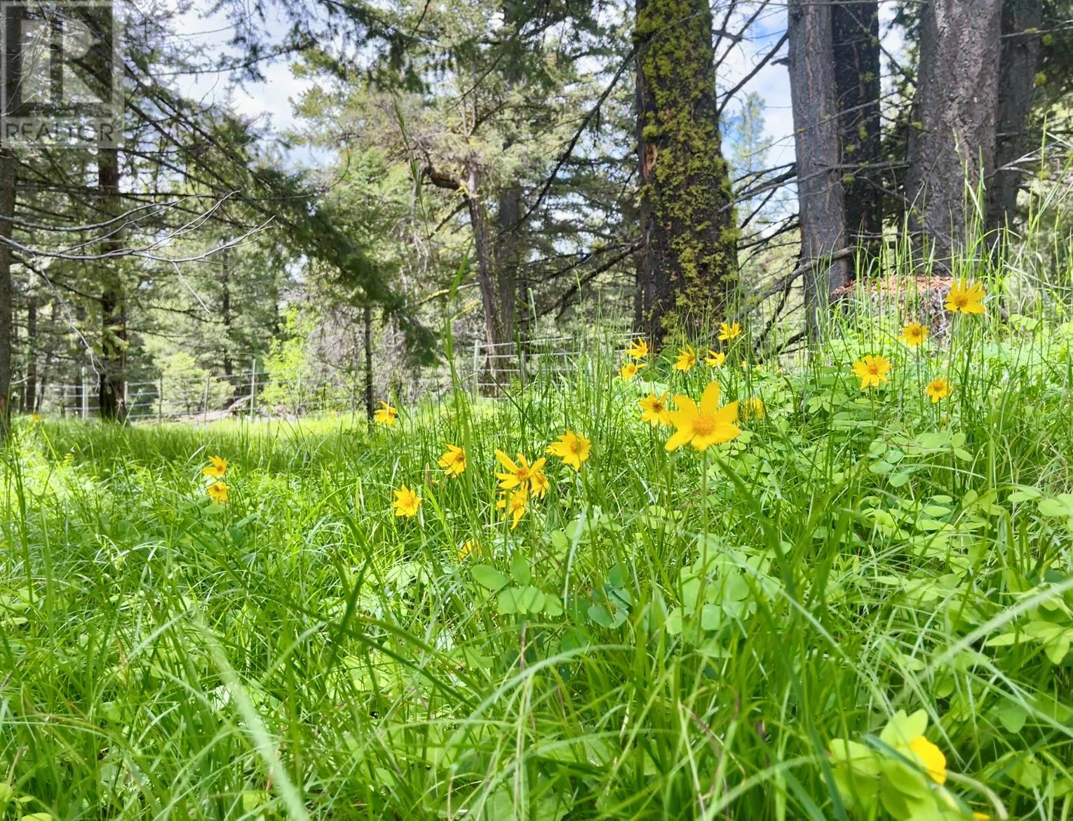 1000 HALFWAY LAKE ROAD - 70