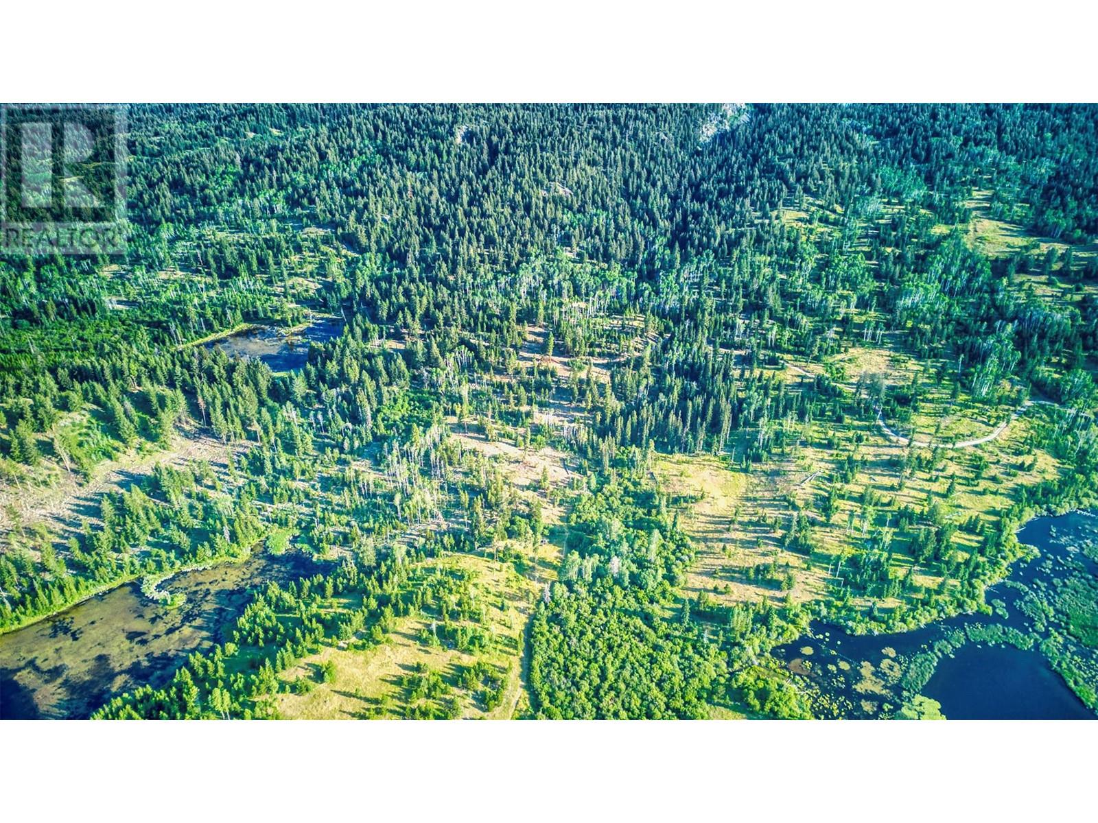 1000 HALFWAY LAKE ROAD - 61