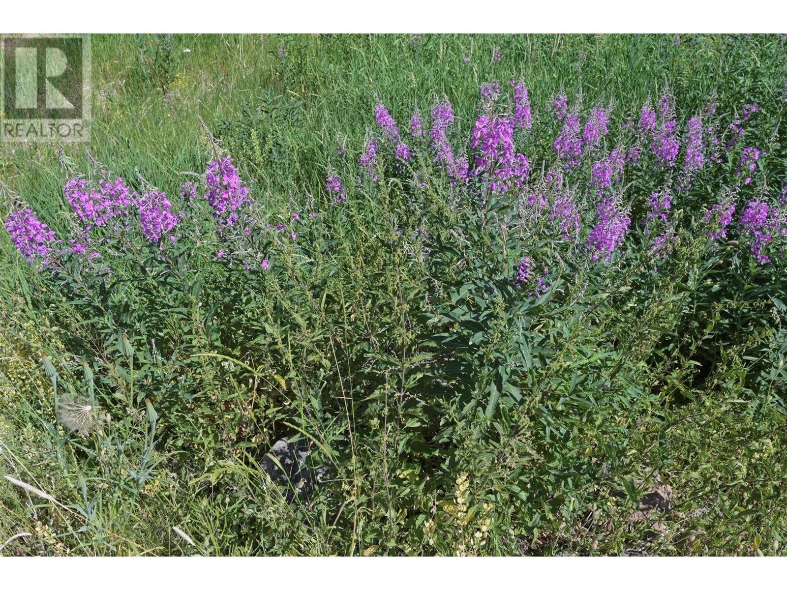 1000 HALFWAY LAKE ROAD - 47