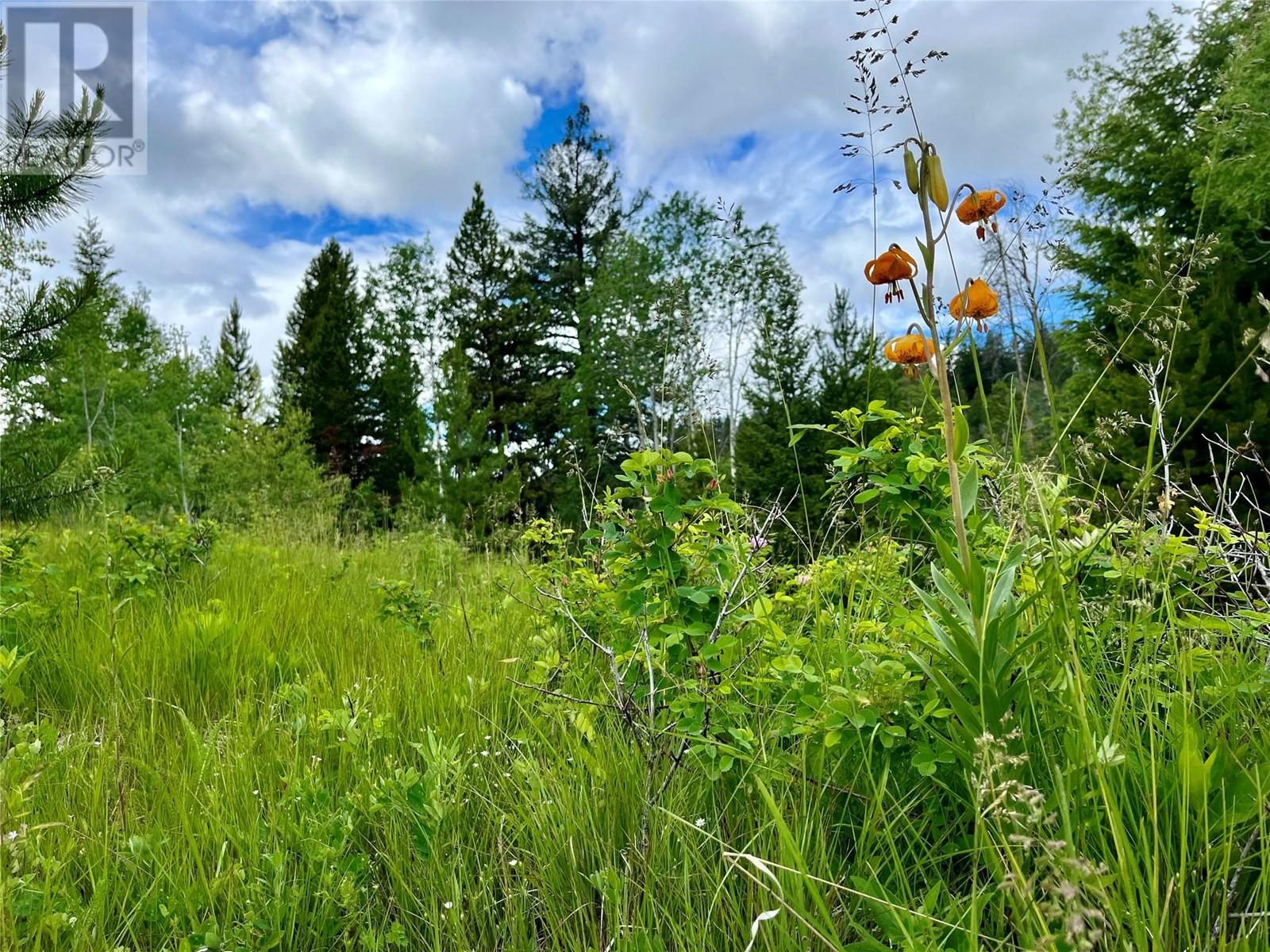 1000 HALFWAY LAKE ROAD - 67