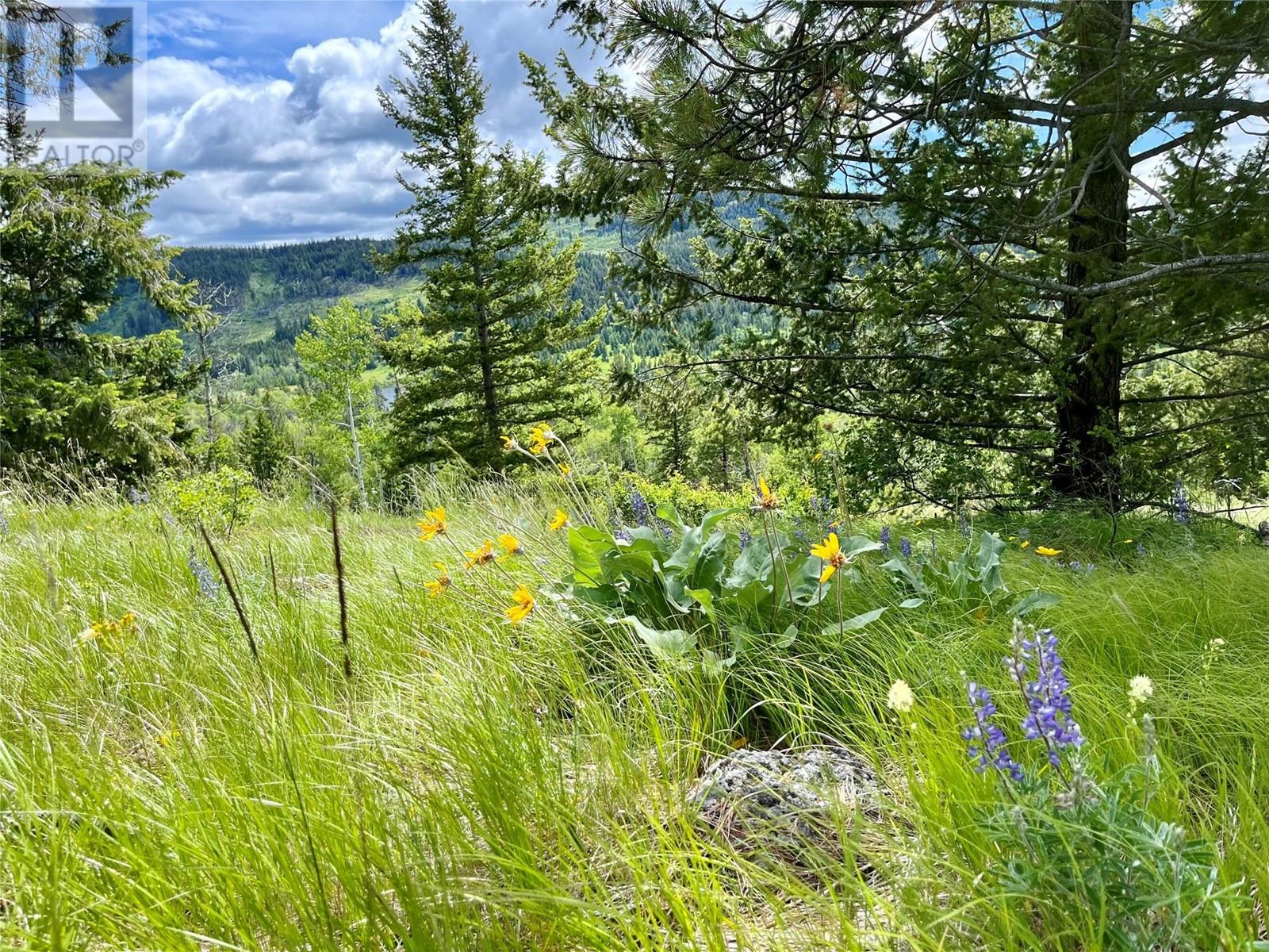 1000 HALFWAY LAKE ROAD - 68