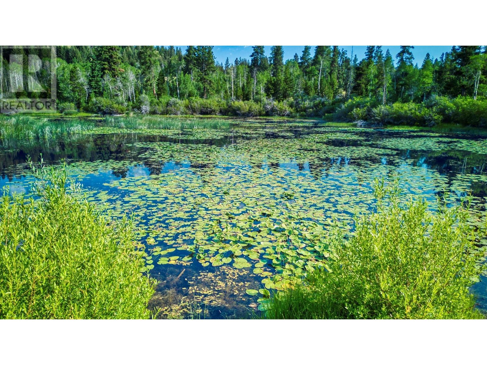 1000 HALFWAY LAKE ROAD - 57