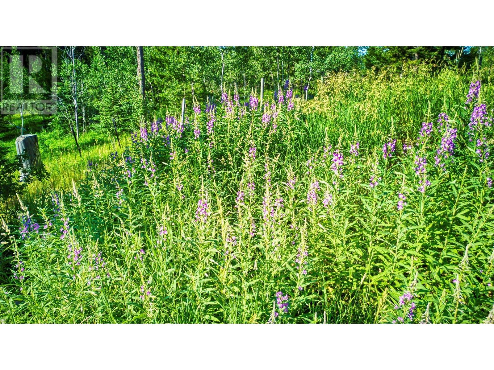 1000 HALFWAY LAKE ROAD - 65