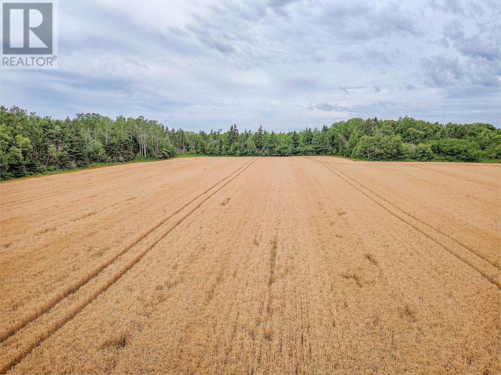ACREAGE BEAR RIVER Road — photo 8