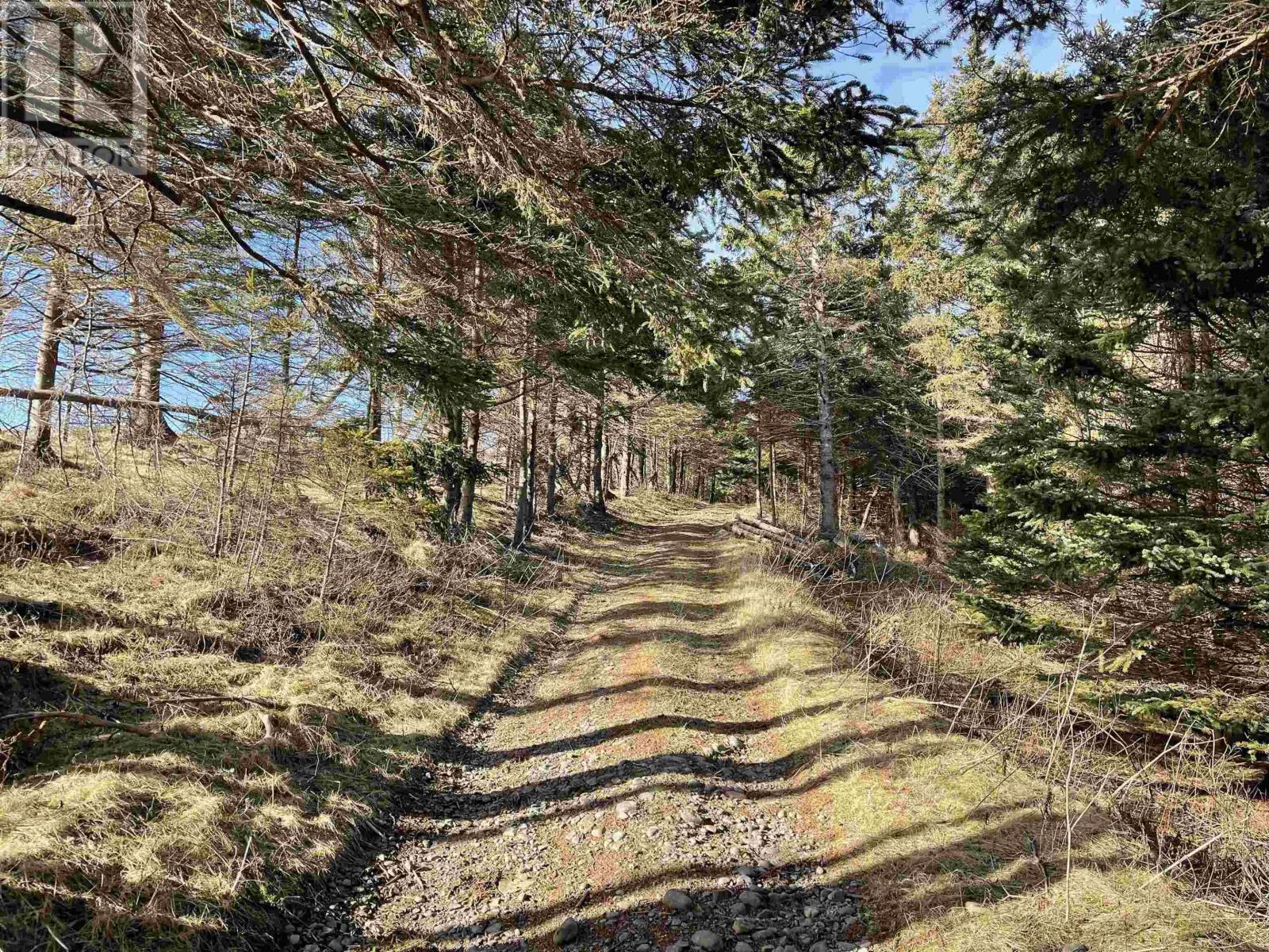 Property 11 of 30 of Three Island Cove Road