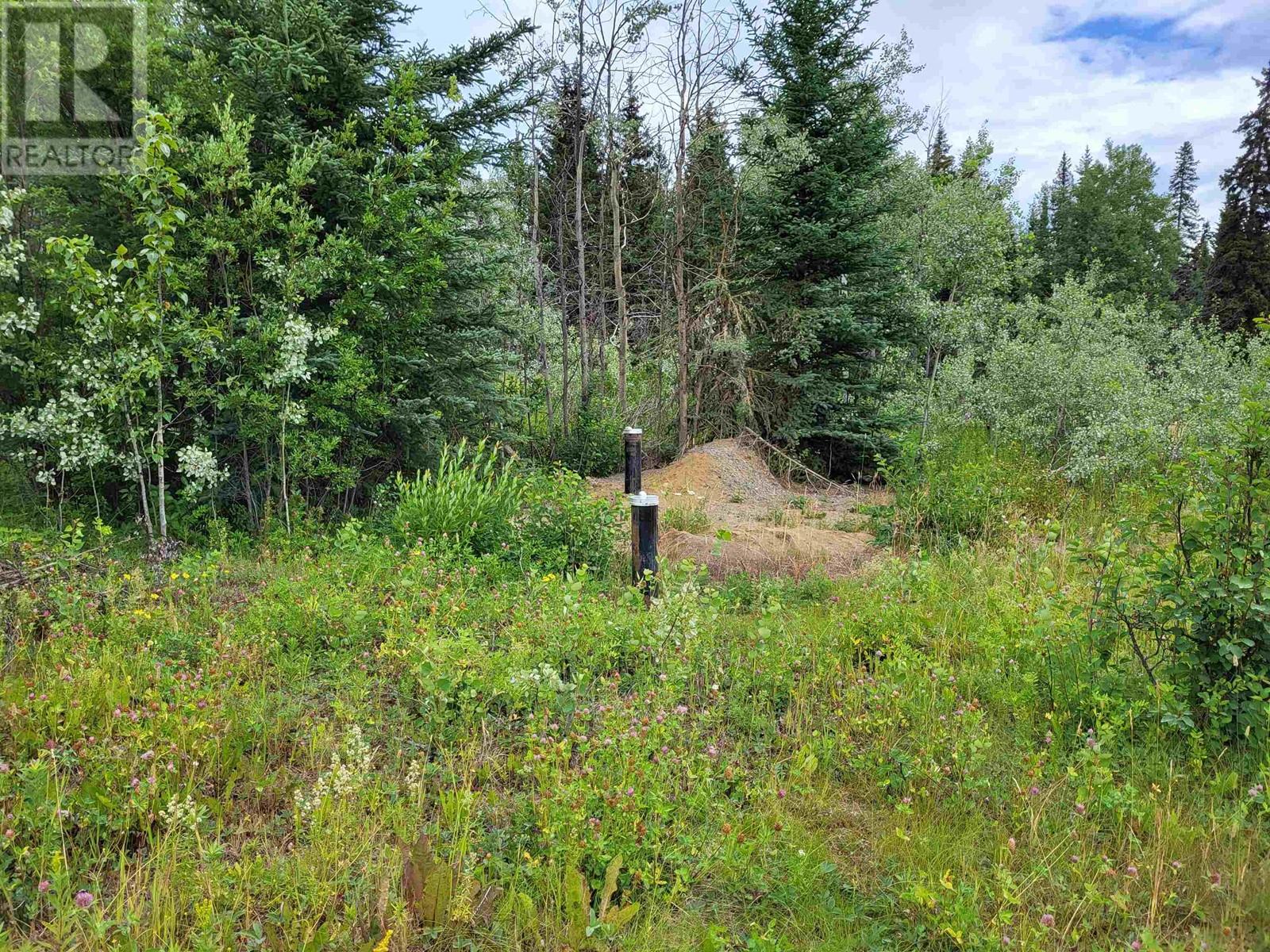 660 SPARKS Road, Burns Lake