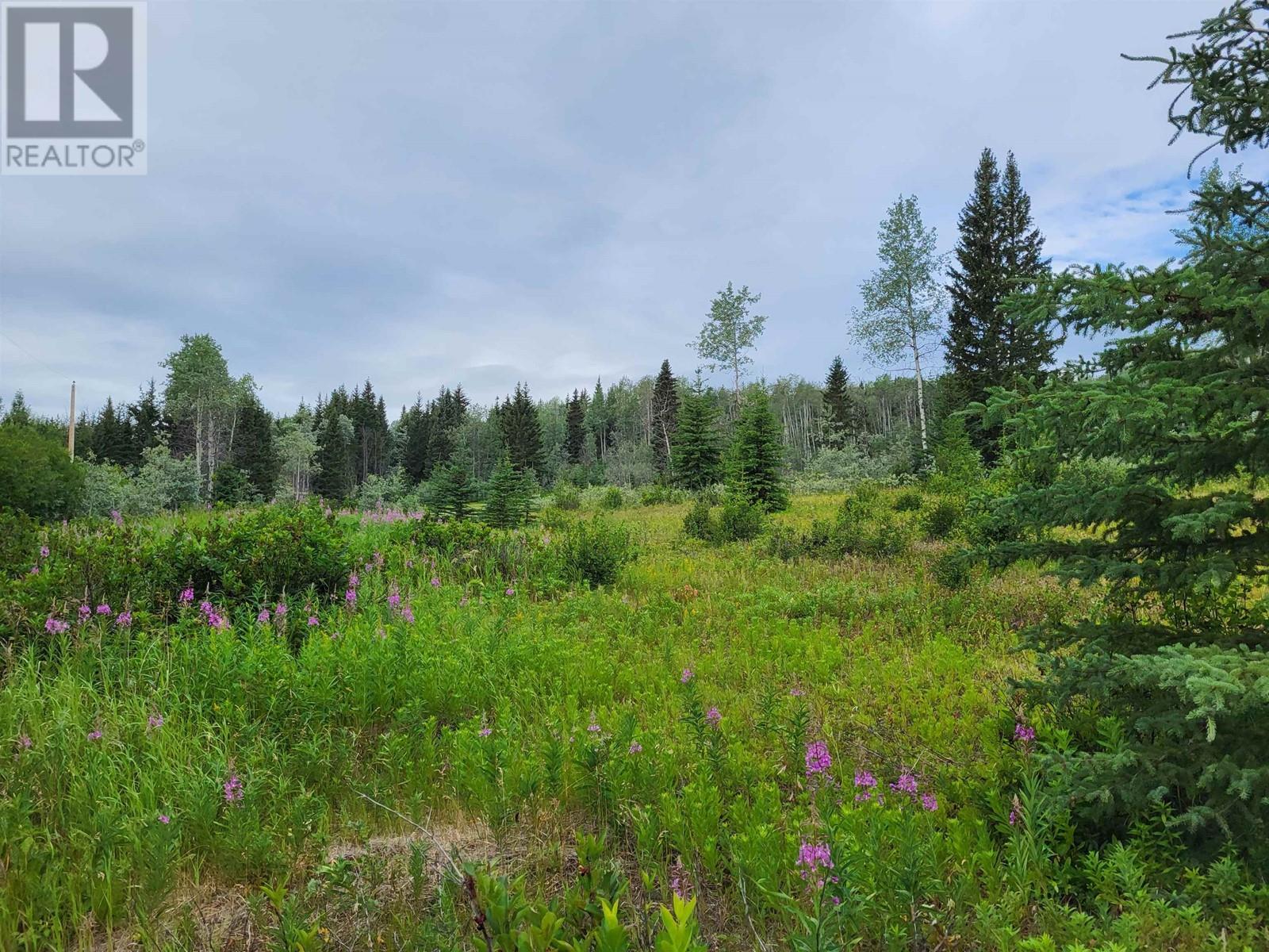 660 SPARKS Road, Burns Lake