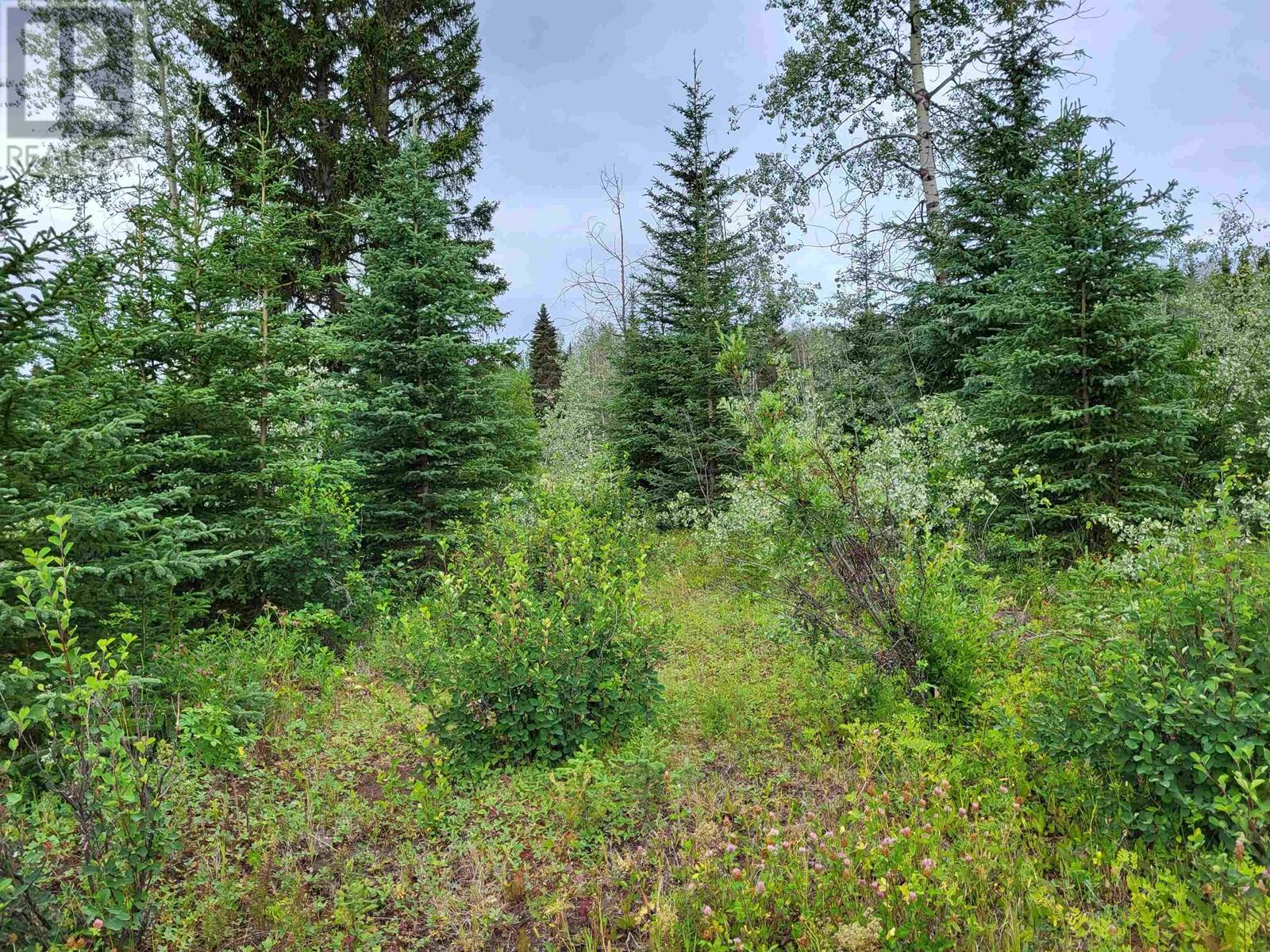 660 SPARKS ROAD, Burns Lake