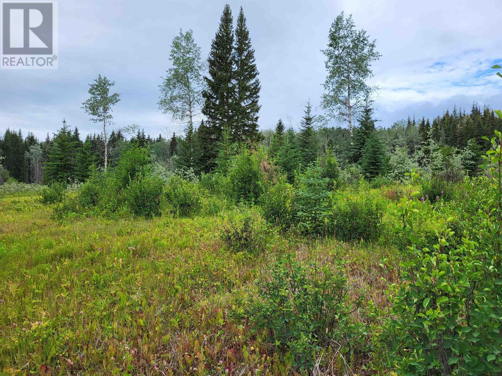 660 SPARKS Road, Burns Lake