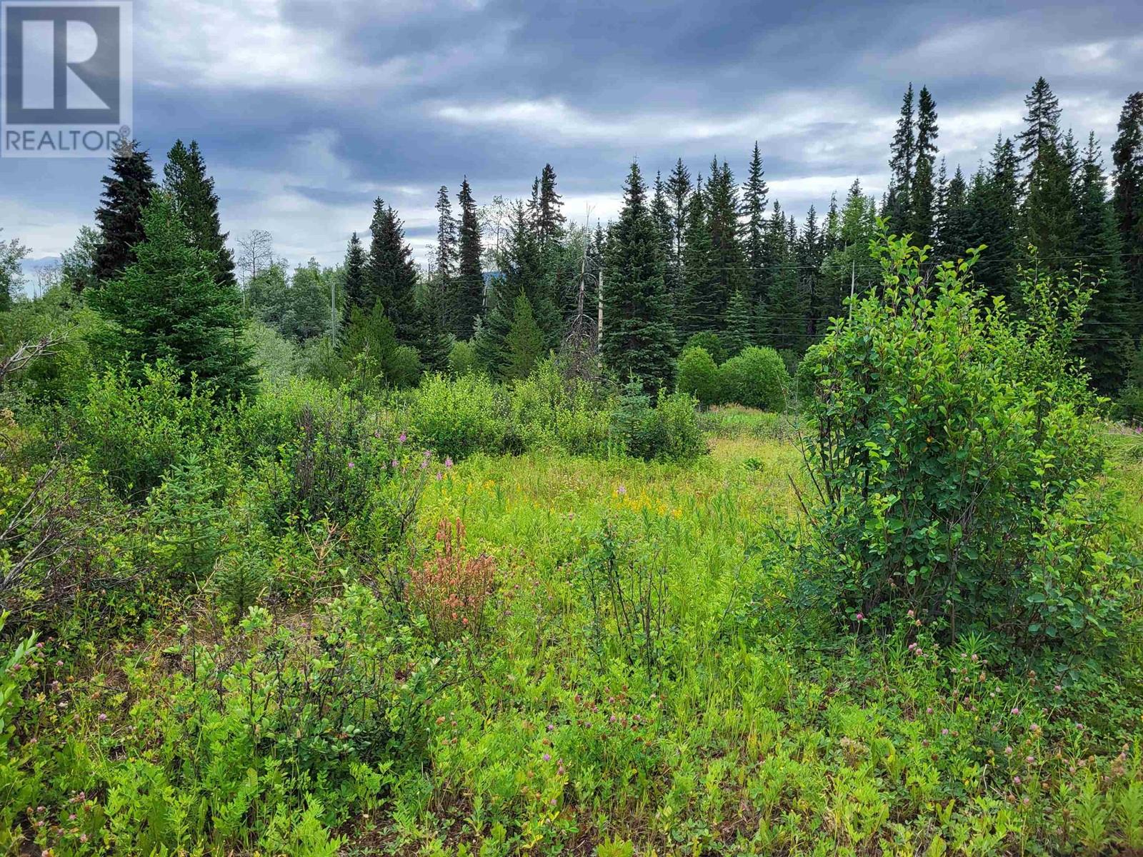 660 SPARKS Road, Burns Lake