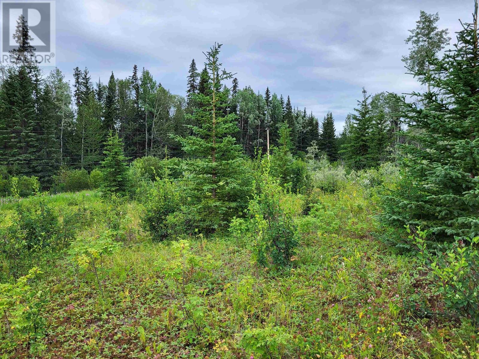 660 SPARKS Road, Burns Lake