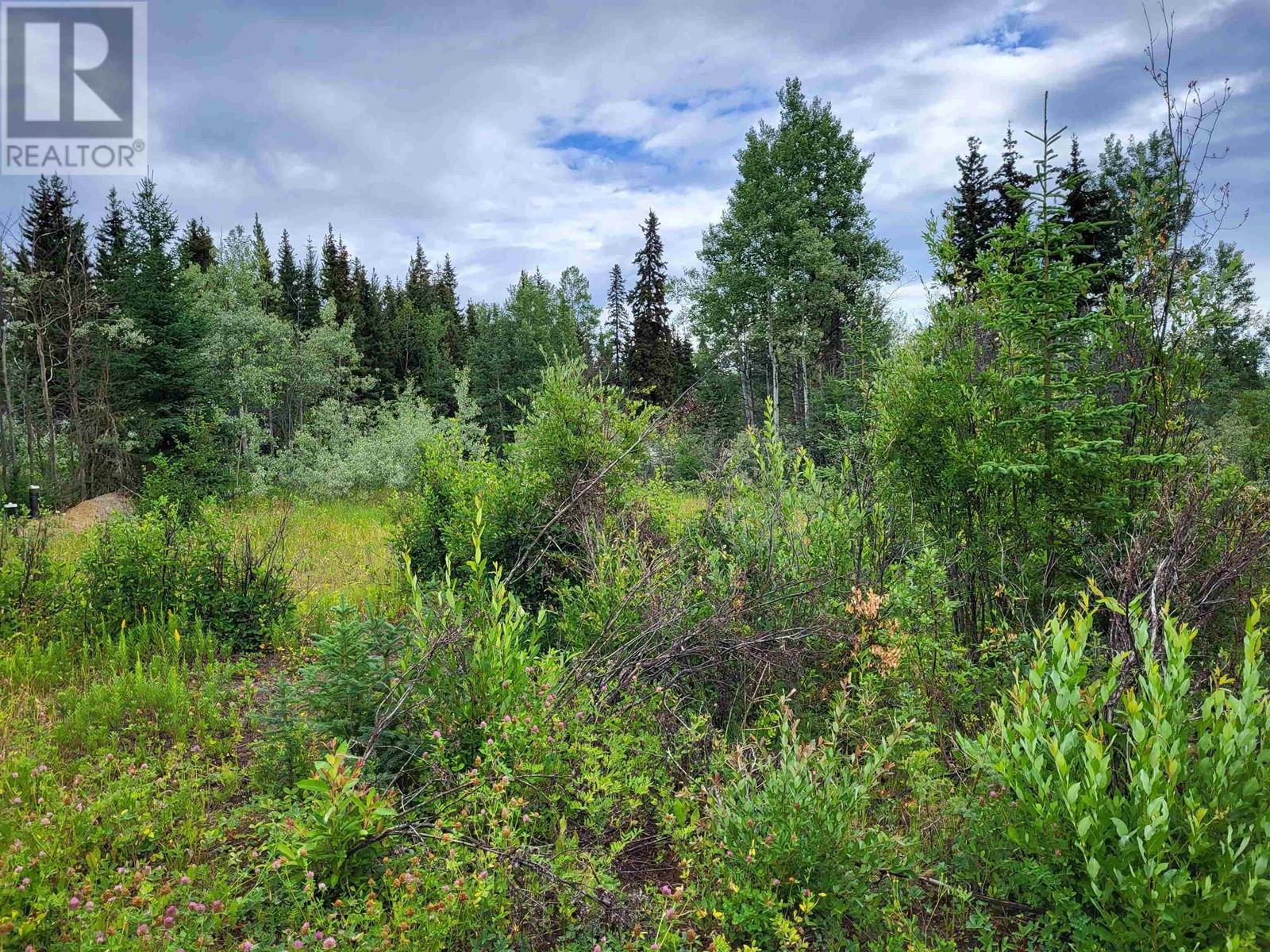 660 SPARKS ROAD, Burns Lake