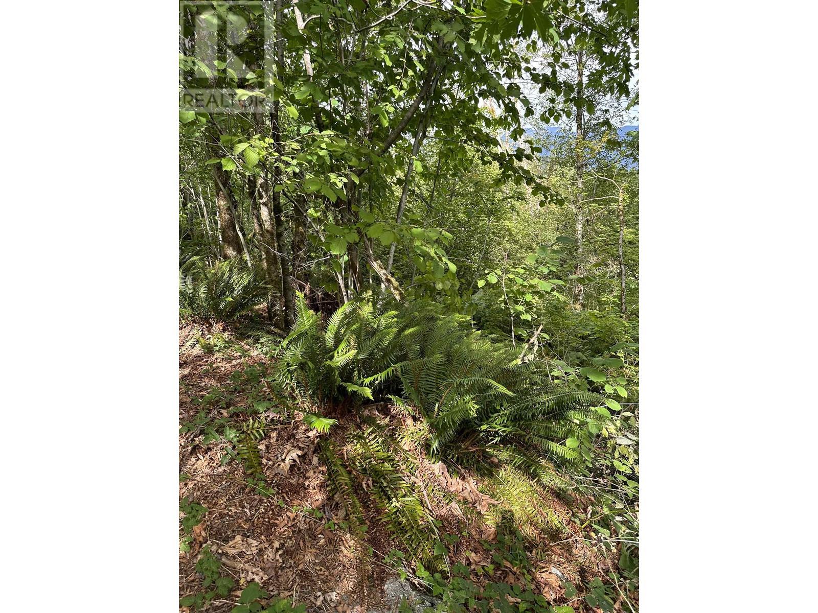 QUARRY ROAD, Coquitlam real estate listing C8062269