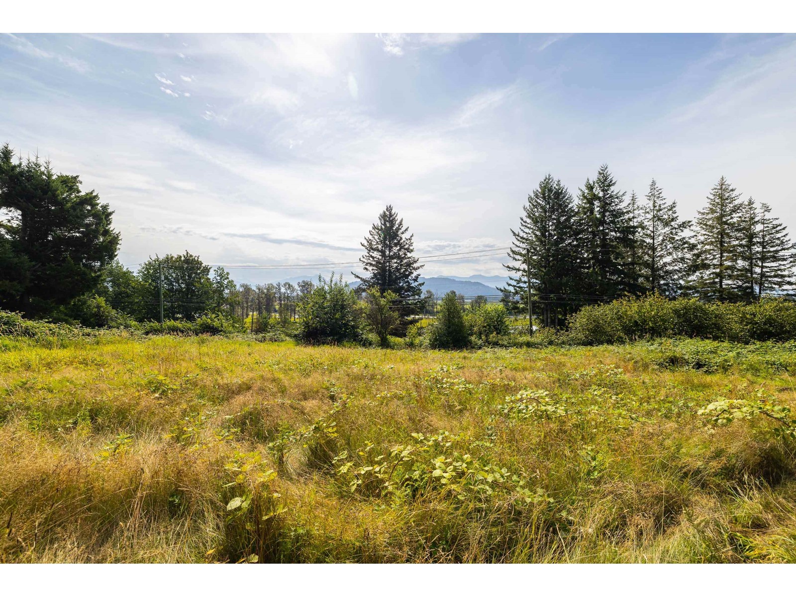 41759 LOUGHEED HIGHWAY, Mission real estate listing R2917859