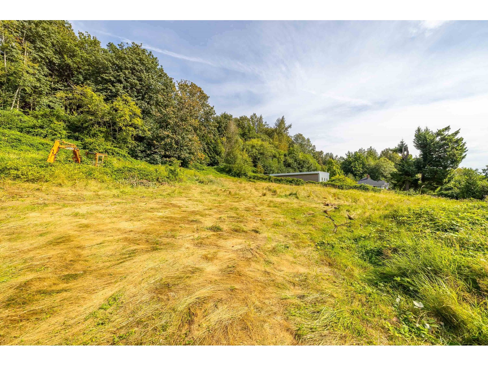 41759 LOUGHEED HIGHWAY, Mission real estate listing R2917859