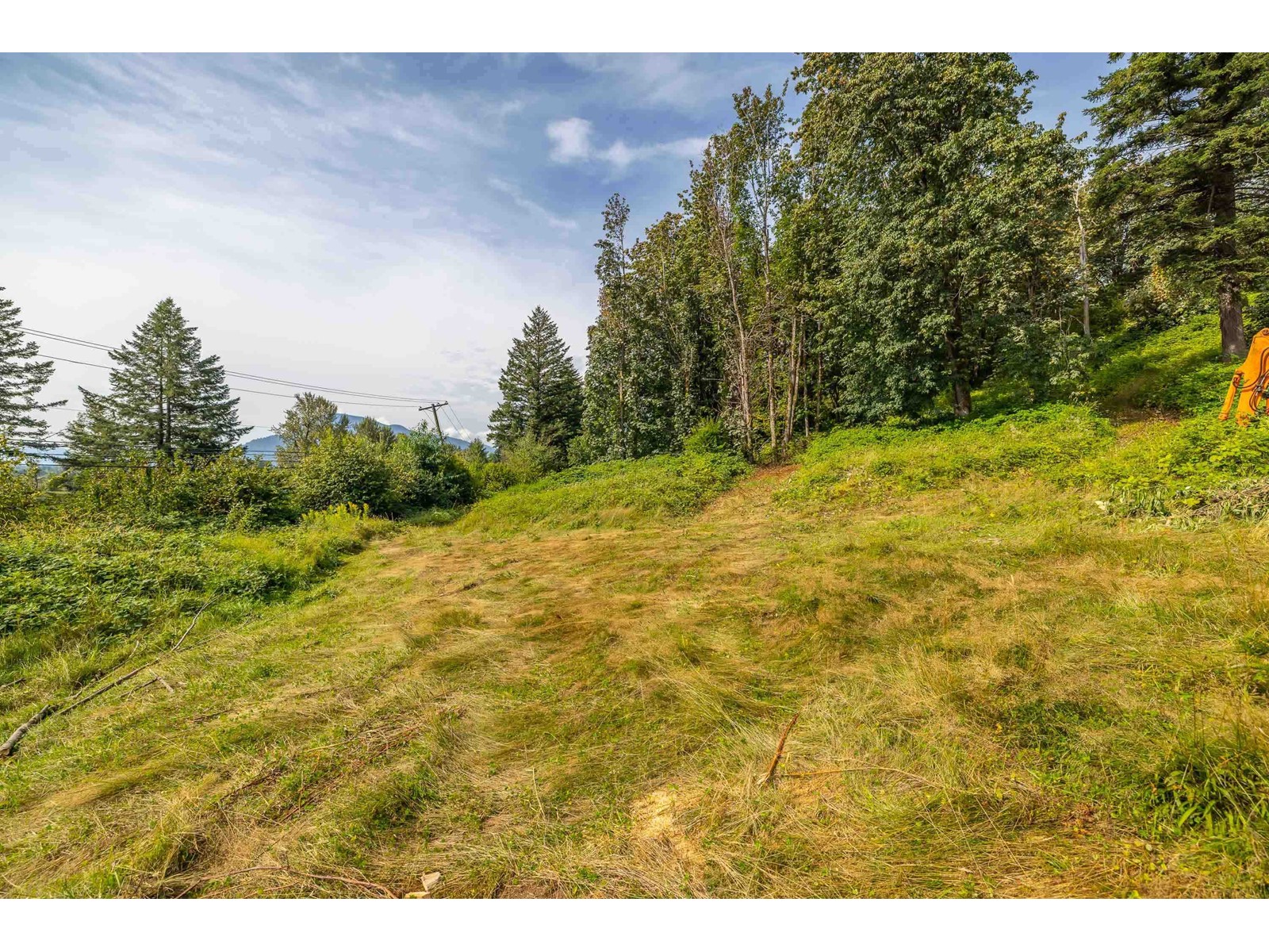 41759 LOUGHEED HIGHWAY, Mission real estate listing R2917859