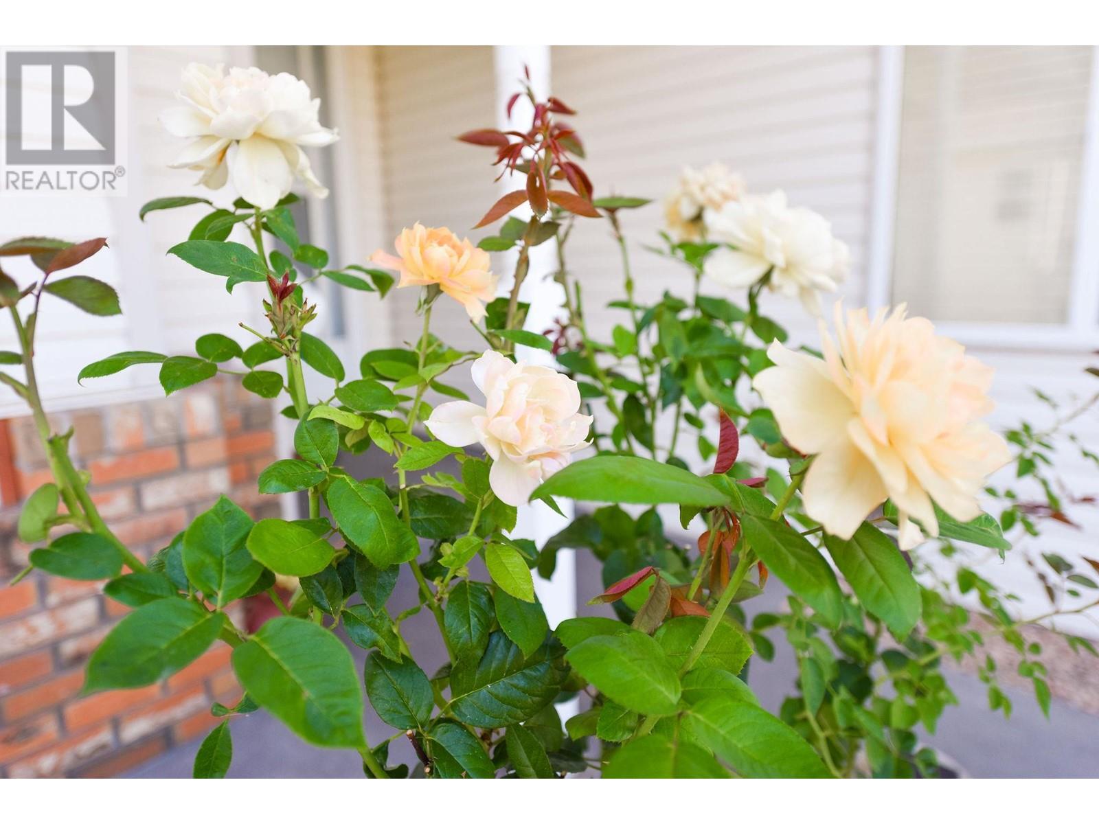  505 Redwing Drive, Penticton