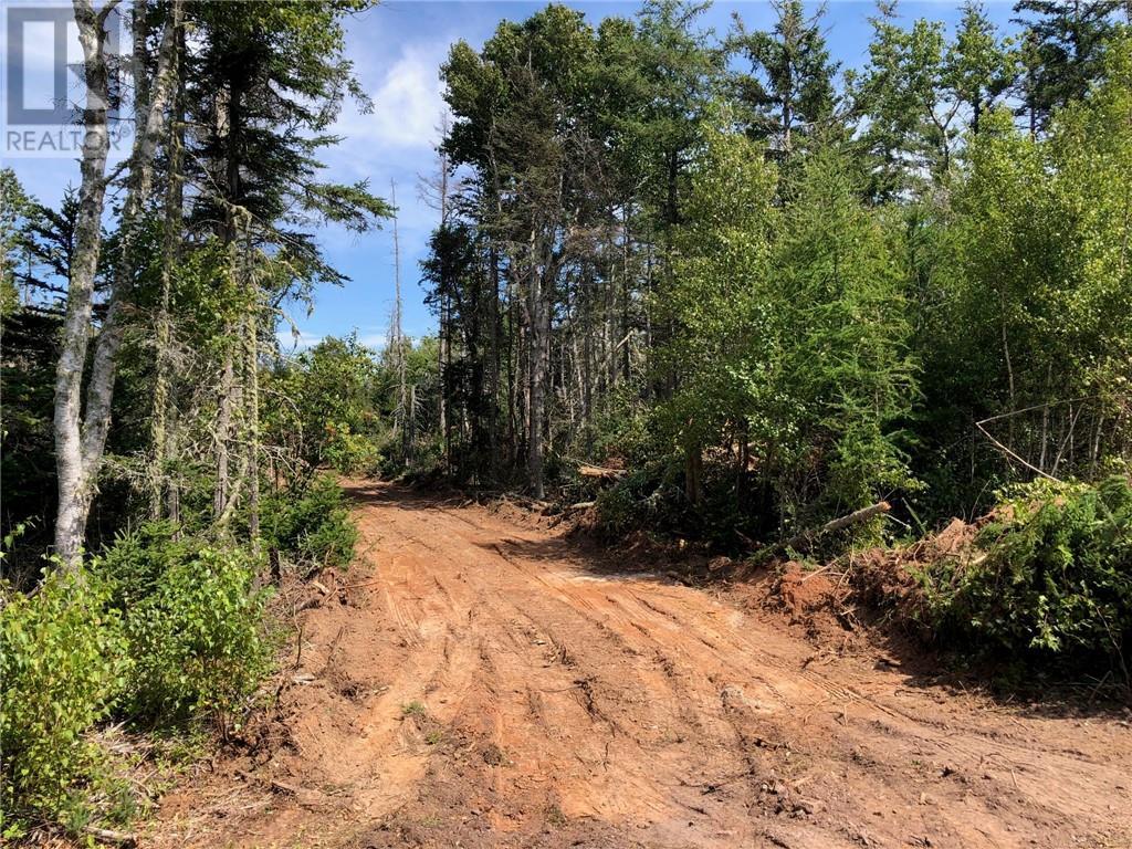 Photo 3 of Lot 04 18 Edgewater Lane, Little Shemogue NB