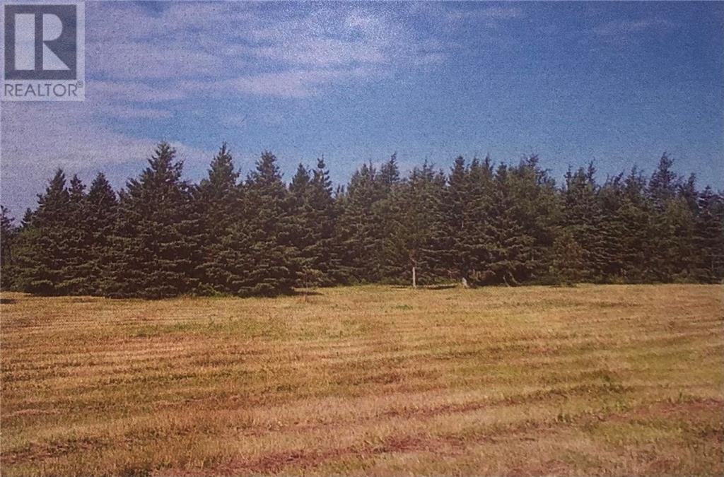 Photo 4 of Lot Cote Sainte Anne, Sainteannedekent NB