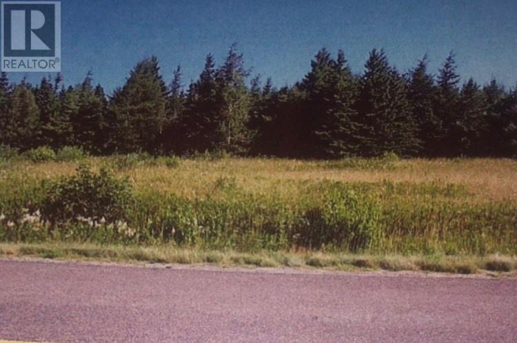Photo 5 of Lot Cote Sainte Anne, Sainteannedekent NB
