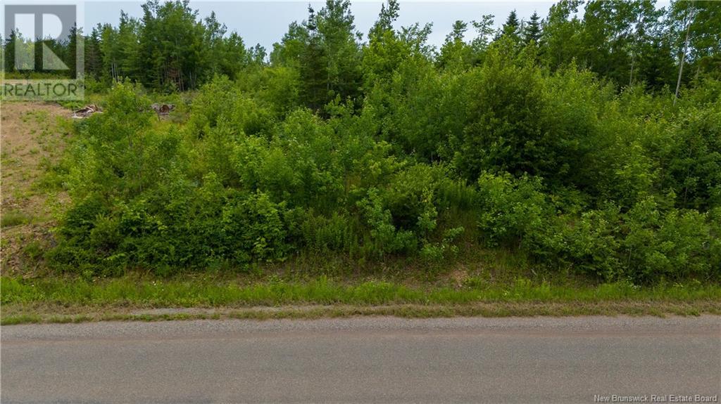 Photo 11 of Lot 24 4 Route 895, Anagance NB