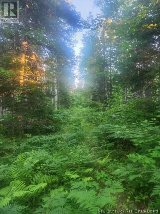 Photo 9 of 37 8 Hec Bettsburg Road, Bettsburg NB