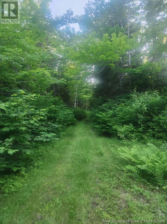 Photo 6 of 37 8 Hec Bettsburg Road, Bettsburg NB