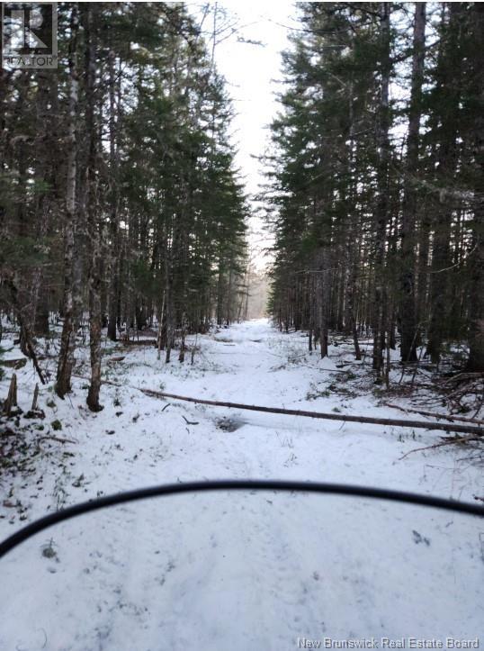 Photo 15 of 37 8 Hec Bettsburg Road, Bettsburg NB