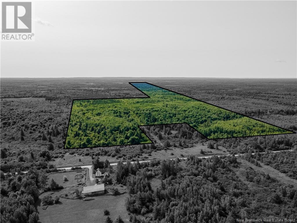 Photo 7 of Lot Cormier Settlement Road, Dundas NB