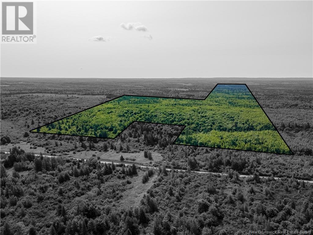 Photo 6 of Lot Cormier Settlement Road, Dundas NB