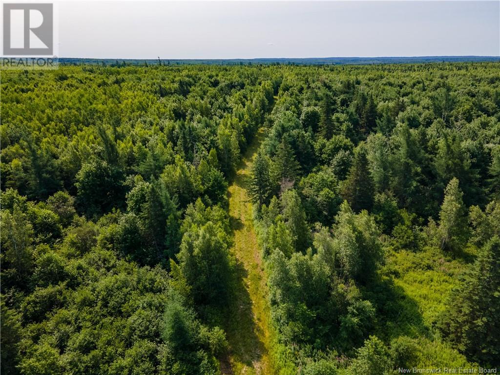 Photo 9 of Lot Cormier Settlement Road, Dundas NB