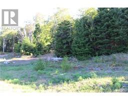 00 Shoreline Drive, photo 2