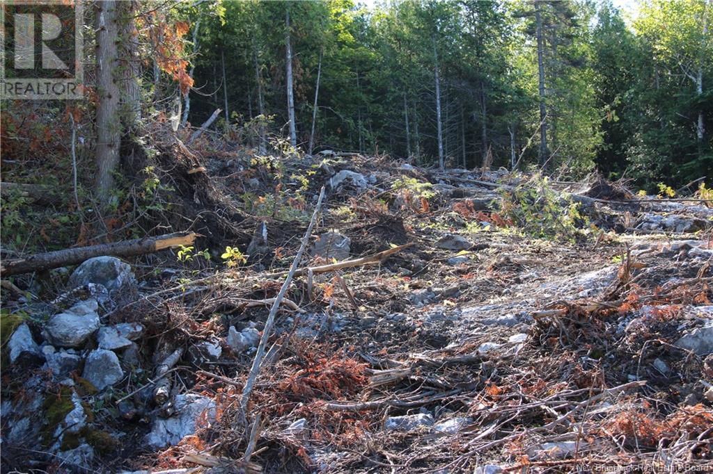 Photo 10 of 00 Shoreline Drive, Saint John NB